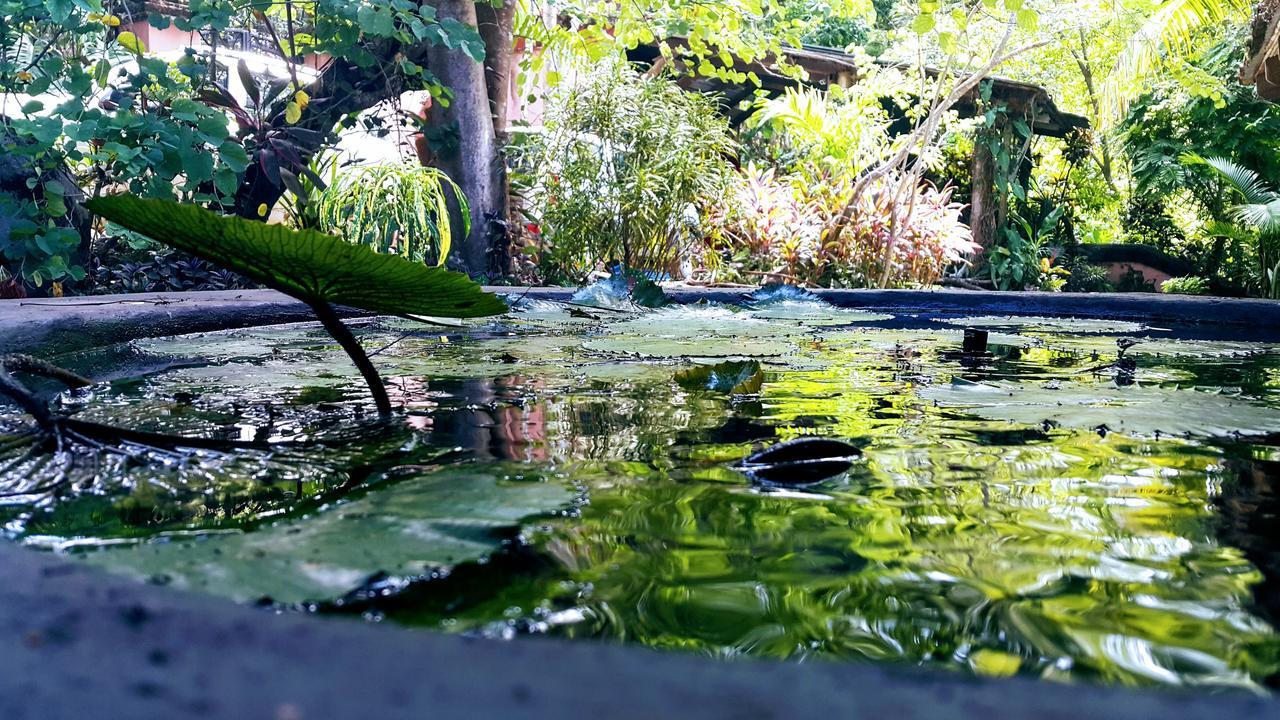 Casa Hotel Mare Nostrvm Manuel Antonio Esterno foto